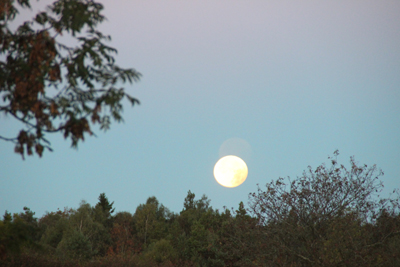 Vi konstaterade att månen var både större och vackrare strax före sju på morgonen...